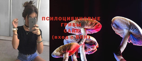 ешки Алексеевка