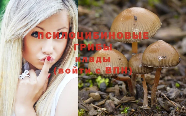 кокаин Алексин
