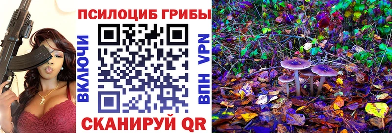 как найти   MEGA ссылка  Псилоцибиновые грибы прущие грибы  Бодайбо 